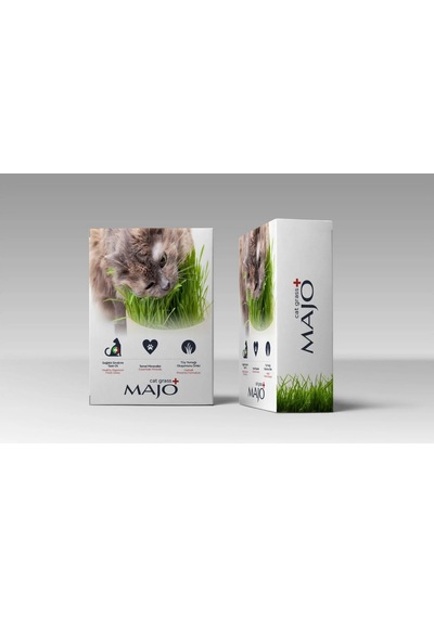 Üç Kullanımlık Naturel Kedi Çimi Yedek Tohumlu