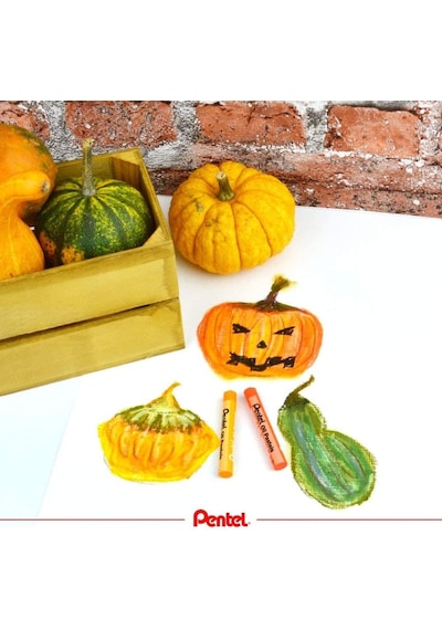 25 Renk, , Phn-25, 25 Renk İle Çizim İçin Yağlı Pastel Tebeşir