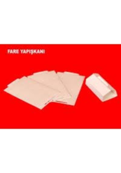 Fare Istasyonu Canlı Yakalama Istasyonu Yapışkan Hediyeli 50 Adet