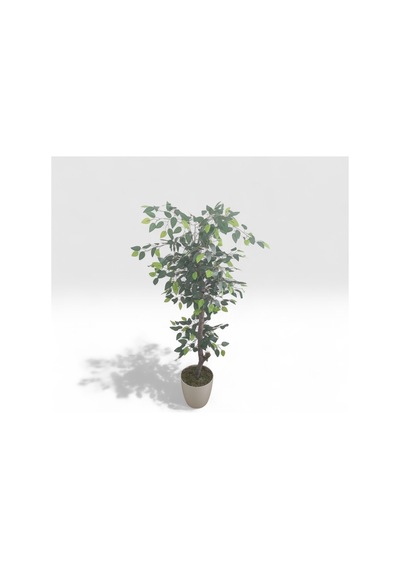 Soft Natura Ficus Benjamin Ağacı 140 Cm Bej Saksıda Doğal Görünümlü Dekoratif Yapay Ağaç