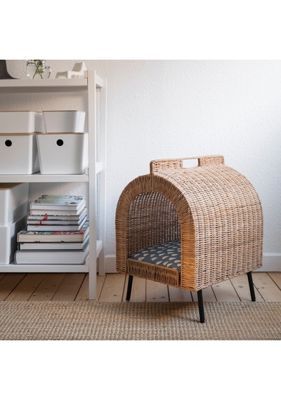 Utsadd Kedi Evi, Rattan