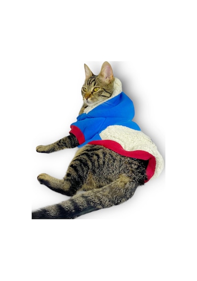 Kemique Sweet Blue Rabbit Sweatshirt Kapşonlu Kedi Kıyafeti