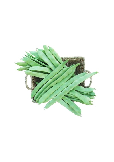 May Sofia Sırık Fasulye Tohumu 500 Gr