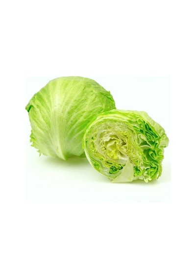 Doğal Iceberg Marul Tohumu 1 Gram 1 Paket