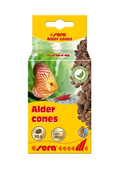 Sera Alder Cones (50 Adet) Kızılağaç Kozalağı