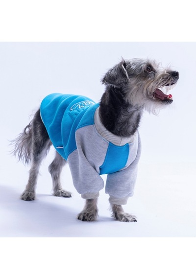 Mavi Boston Pawstar Sweat Köpek Sweatshirt Köpek Sweat Köpek Kıyafeti Kedi Kıyafeti