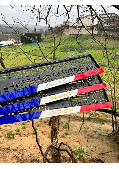 Fransız Kişileştirilebilir Otomobil Plakalığı