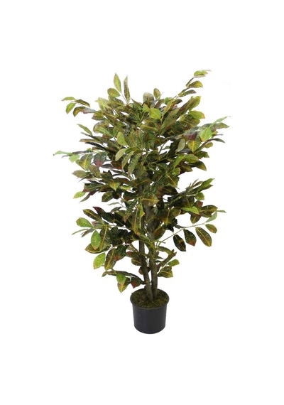 Yapay Kraton Ağacı 130 Cm Yeşil