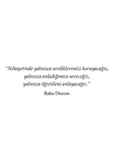 Zaman Ve Suya Dair: Bir Buzula Ağıt