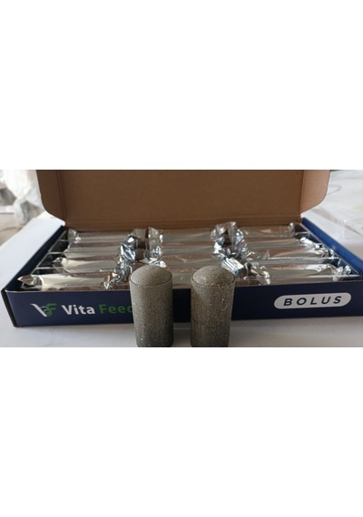 Vita Feed Besi Ve Süt Bolus 110 Gr 12 Adet