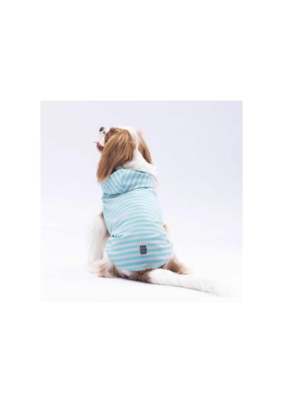 Pawstar Aqua Sunny Kapşonlu Kedi Köpek Tişörtü Kedi Köpek Kıyafeti