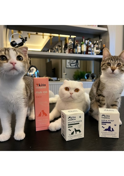 Kito Premium Kedi ve Köpekler İçin Omega 3 & 6 İçerikli Balık Yağı 200 ML