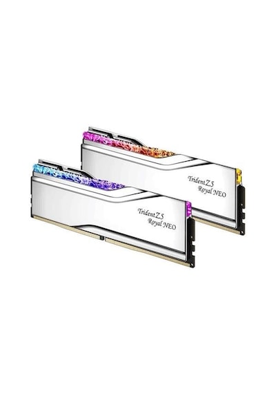 Gskıll 48gb 2x 24gb Ddr5 8000mhz Cl40 Rgb Dual Kıt Pc Ram Trıdent Z5 Royal Sılver F5-8000j4048g24gx2-tr5ns