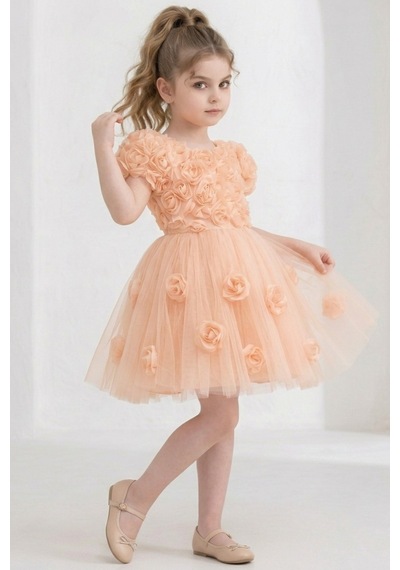 Mnk Baby & Kids Rosali Lase Detay Kız Tütü Abiye Elbise M00803 Somon