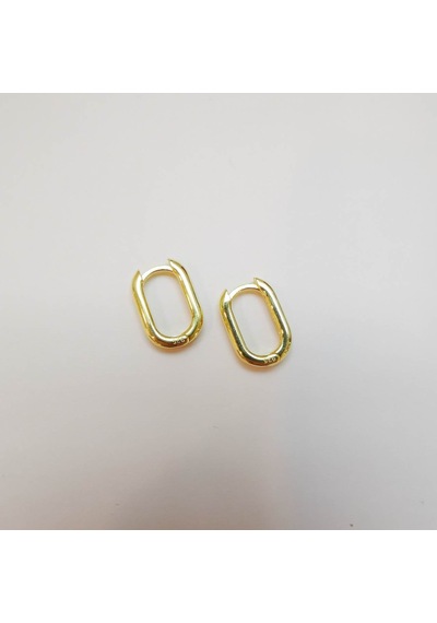 Choice U Kadın Küpe Gold