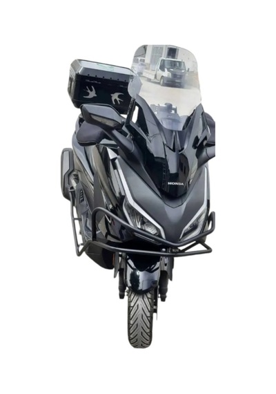Honda Forza 250 Koruma Demiri