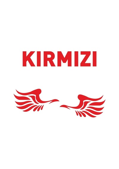 Kanat Yan Ayna Oto Sticker Siyah Sağ-sol 2 Adet 12 6 Cm