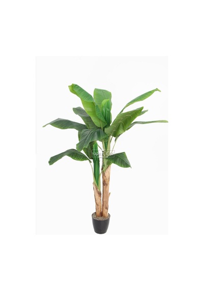 Yapay Muz Ağacı 160cm Saksılı