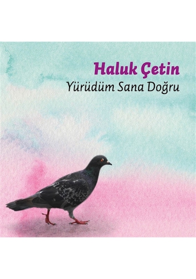 Haluk Çetin - Yürüdüm Sana Doğru CD