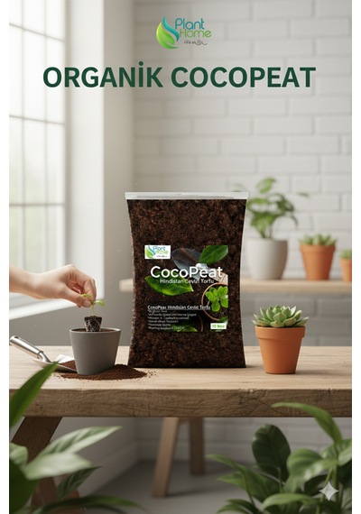 Cocopeat Hindistan Cevizi Torfu Sülük, Salyangoz, Sürüngen, Amfibi -kemirgen Yatak Malzemesi
