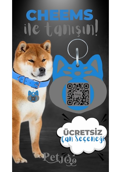 Petjoo 18.Cheems Gri-Mavi Qr'lı Köpek Künyesi