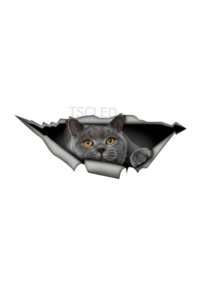 Ingiliz Shorthair Komik Kedi Araba Sticker Çıkartması
