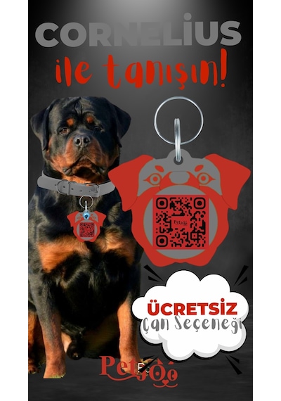 Petjoo 20.Cornelius Kırmızı-Gri Qr'lı Köpek Künyesi