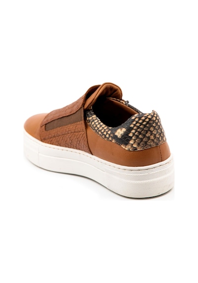 Dexter Ep143073-5 Kadın Sneaker Çok Renkli