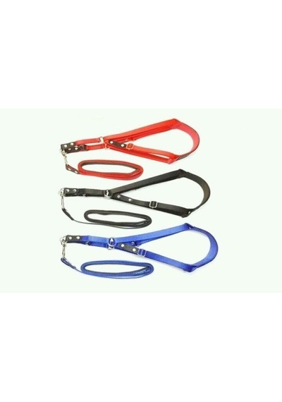Lino Köpek Göğüs Tasması Medium+Gezdirme Kayişi 20 Mm
