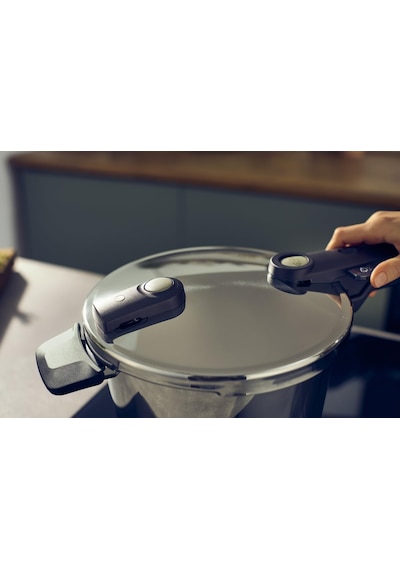 Fissler Vitaquick Elemental 3.5 Litre Düdüklü Tencere Görseldeki Renk