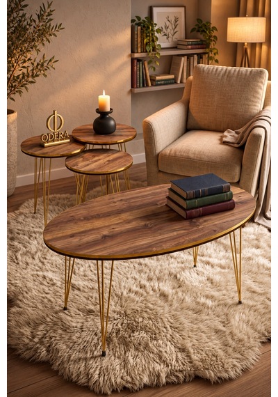 Odera Çift Ceviz Elips Orta Sehpa Ve Yuvarlak Zigon Sehpa 4'lü Set Metal Tel Ayaklı Modern Retro Salon Sehpası Diğer