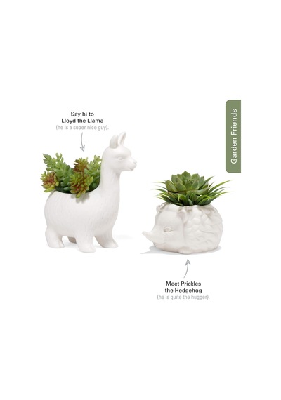 Kirpi Saksısı - Sevimli Seramik Hayvan Sukulent Bitki Saksısı - 7,8 Cm X 14,8 Cm X 13 Cm