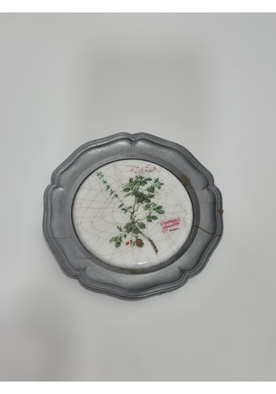 Vintage Zınn Çerçeveli Dekoratif Alıç Bitkisi Temalı Duvar Tabağı 10cm 013