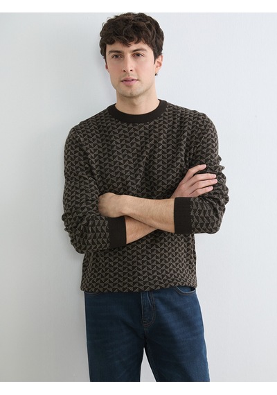 Lcwaıkıkı Classic Kahverengi Erkek Desenli Regular Fit Triko Kazak