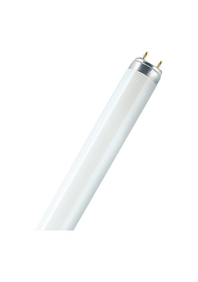 Osram L 36w/66 T8 Floresan Yeşil Ampul