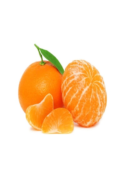 Tüplü Parlak Meyveli Fremont Mandalina Fidanı