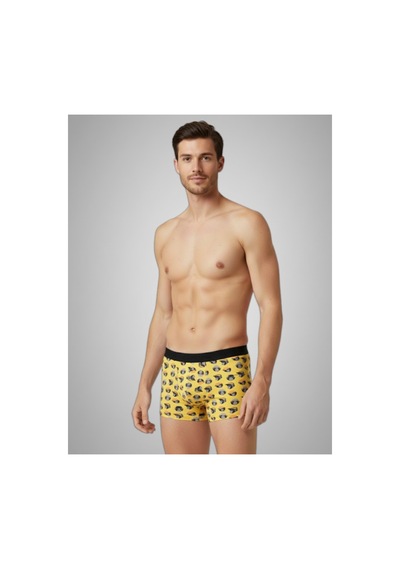 Harry Jons Erkek 6'lı Desenli Renkli Pamuklu Premium Paket Boxer Karışık Karışık