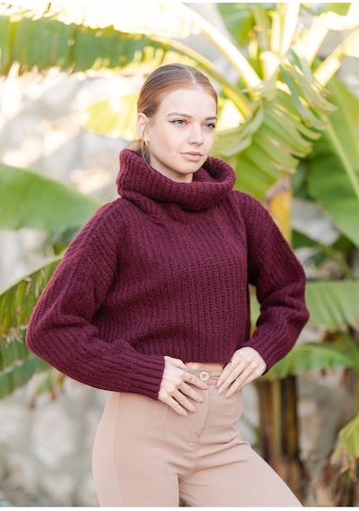Balıkçı Yaka Örme Crop Kazak Vişne
