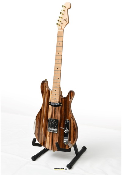 Elektro Gitar Telecaster Custom Epoksi & Yıllanmış Ağaç Kişiye Özel Natural