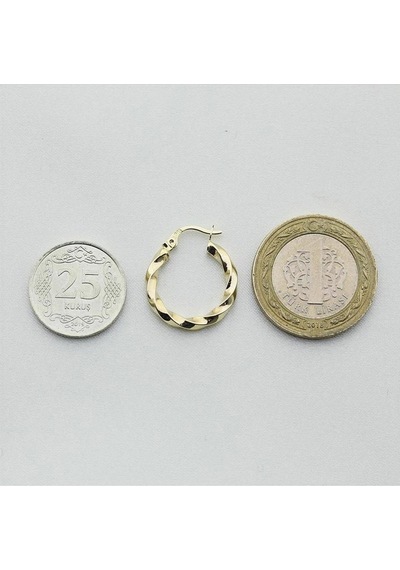 Burgu Altın Halka Küpe Çapı: 1.9 Cm Sarı Altın