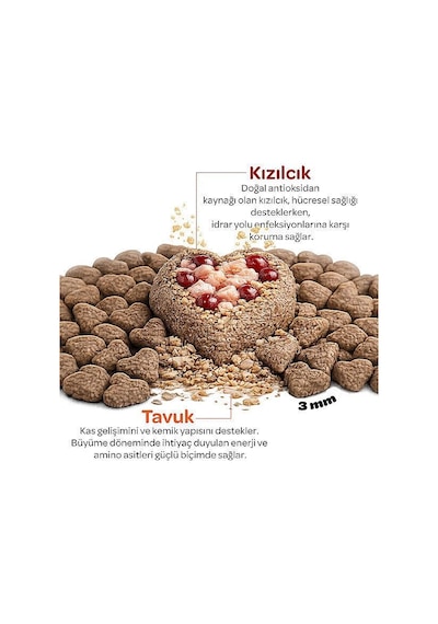 Obivan Kitten Tavuklu Ve Kızılcıklı Yavru Kedi Maması 2 KG
