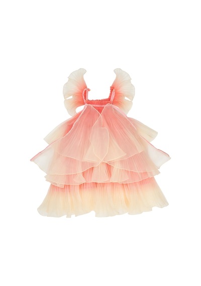 Meri Meri - Fairy Costume Age 5-6 - Peri Kızı Kostüm 5-6yaş Çok Renkli