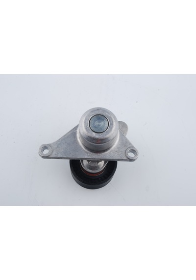 Nissan Qashqai 2007-2013 2,0 Dci V Kayışı Gergisi Voyer 117500969