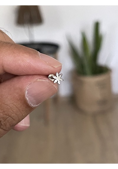 316 L Cerrahi Çelik Tragus Helix Kıkırdak Conch Minimal Yıldız Piercing Bakır