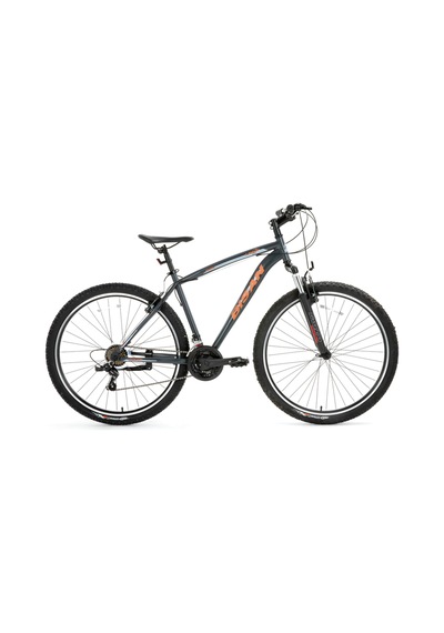 Bisan Leon Disk Fren Gri Dağ Bisikleti 24 Jant 34 Cm Cm Kadro 3x7 Vites Blc Çok Renkli