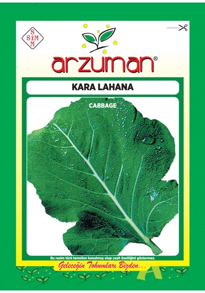 Kara Lahana Tohumu Arzuman Yaprak Lahana