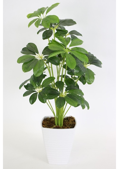 Yapay Çiçek Deposu Melamin Saksıda Yapay 18 Dallı Lüx Şeflera Bitki 70cm Schefflera Koyu Yeşil