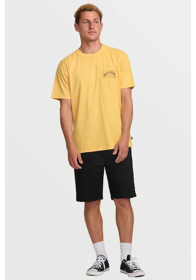Billabong Orıgınal Arch Premıum Sarı Erkek Kısa Kol T-shirt Sarı