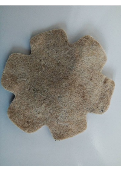 Yuva Keçesi Kanarya