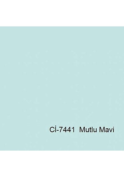 Callvery Plastik Boya 20 Kg Marjinal Gri 0.2 KG